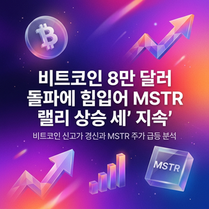 비트코인 8만 달러 돌파에 힘입어 MSTR 랠리 상승세 지속, 애덤 시프는 해당 전략을 "파멸의 악순환"이라고 비판 1 비트코인 8만 달러 돌파