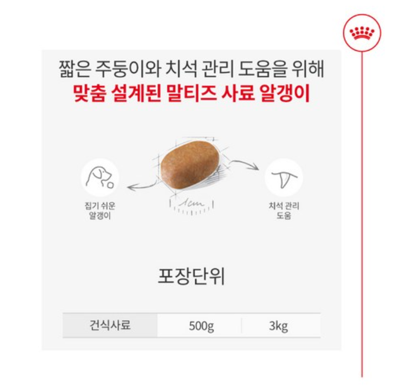 로얄캐닌 말티즈 어덜트 시니어 사료 추천 및 리뷰 3 말티즈2