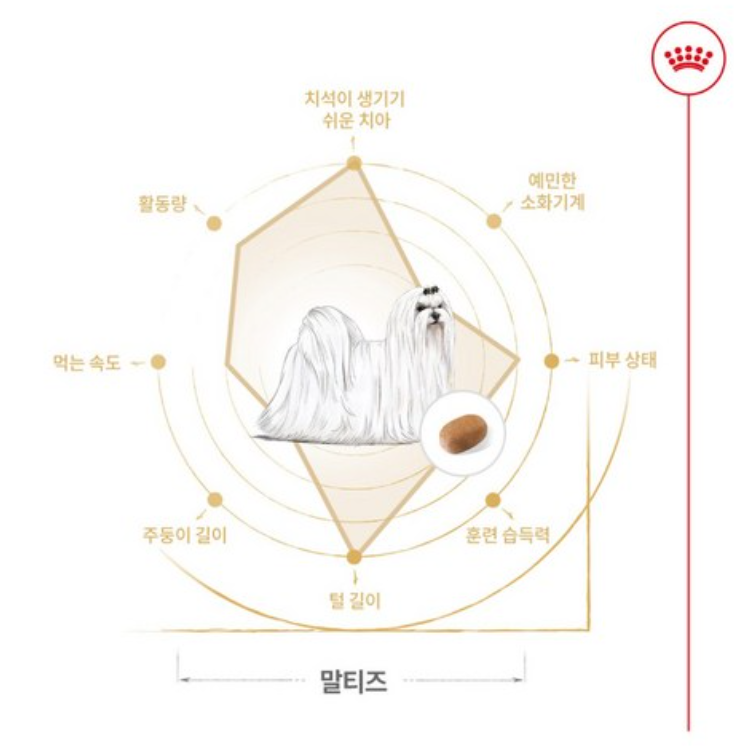 로얄캐닌 말티즈 어덜트 시니어 사료 추천 및 리뷰 6 말티즈4