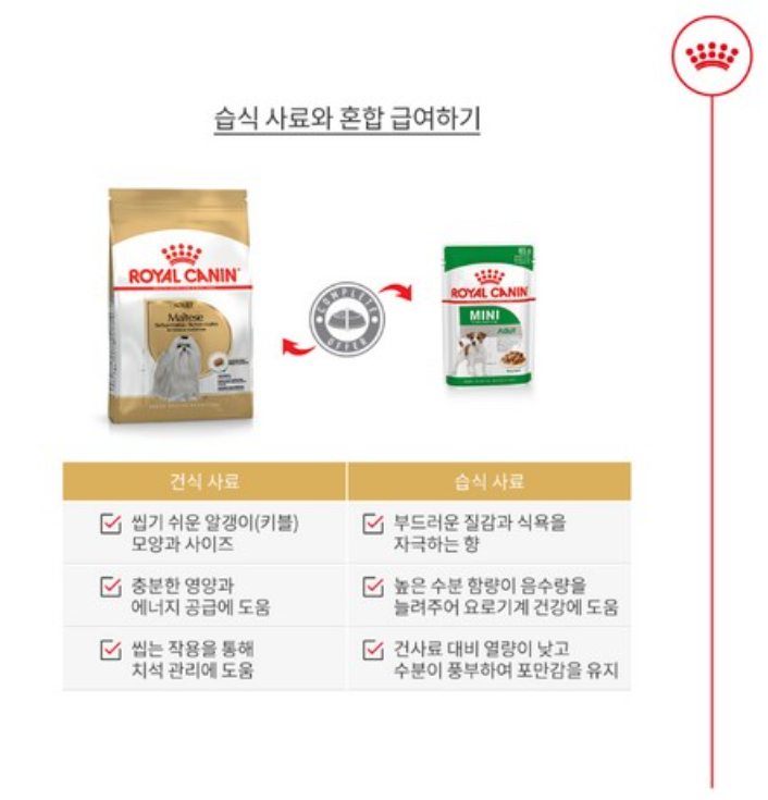 로얄캐닌 말티즈 어덜트 시니어 사료 추천 및 리뷰 5 말티즈6